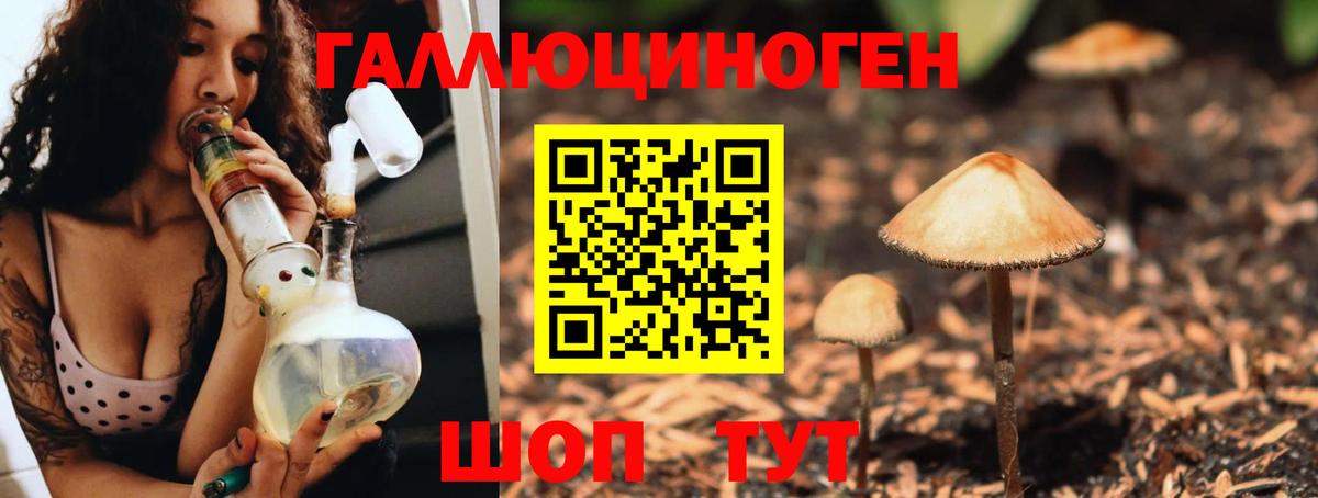 Вышний Волочёк  Галлюциногенные грибы мухоморы  Вход с VPN 